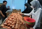 Harga Telur Ayam Naik Di Pasaran,  3 Kementerian  Saling Lempar Penyebabnya
