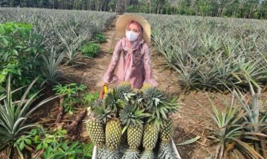 "Kampung Nanasku". Program CSR yang Berdampak Langsung Kepada Masyarakat