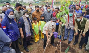 Rehabilitasi Lahan Kritis Sepanjang DAS , Menteri LHK Tanam 1000 Pohon Di Inhu