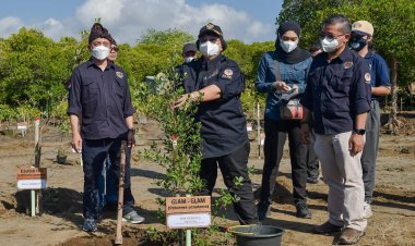 Sebagai Pemimpin G20, Restorasi Mangrove adalah salah satu Program Indonesia dalam mitigasi Perubahan Iklim
