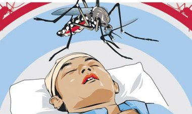 Pasien DBD Makin tinggi,  Dinkes Pekanbaru Akui Kader Jumantik Tak Bekerja Secara Maksimal