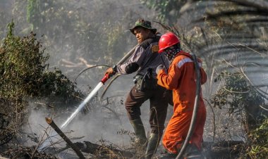 DPD RI  Sebut Semua Pihak Harus Bersatu Dan Tegas, Kebakaran Lahan dan Hutan Mulai Selimuti Provinsi Riau