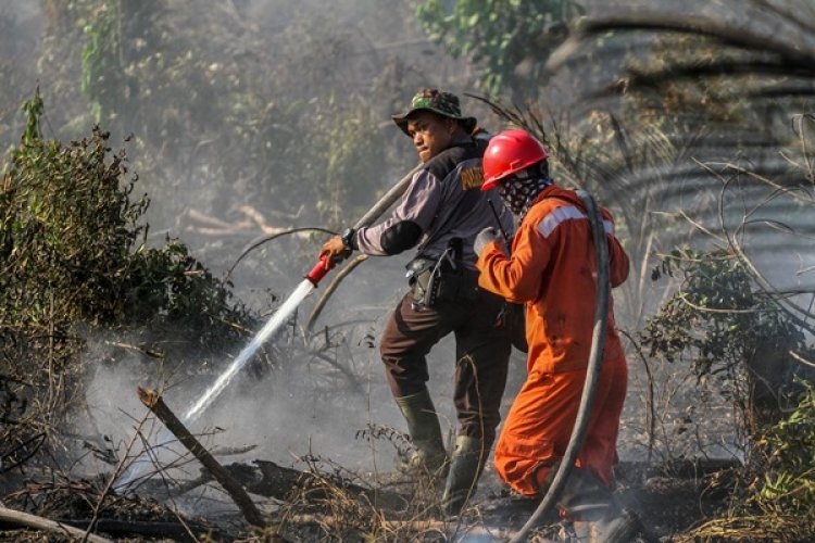 DPD RI  Sebut Semua Pihak Harus Bersatu Dan Tegas, Kebakaran Lahan dan Hutan Mulai Selimuti Provinsi Riau