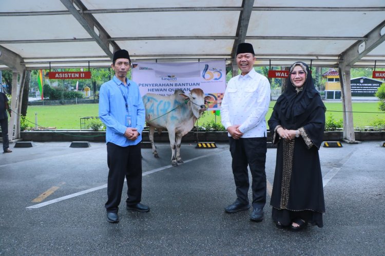 Sekda Kota Pekanbaru Terima Penyerahan Hewan Kurban dari PT Taspen