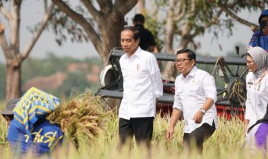 Dampingi Presiden RI Panen Beras, PLT Mentan Sebut Produksi Beras Nasional Aman Dan Tercukupi