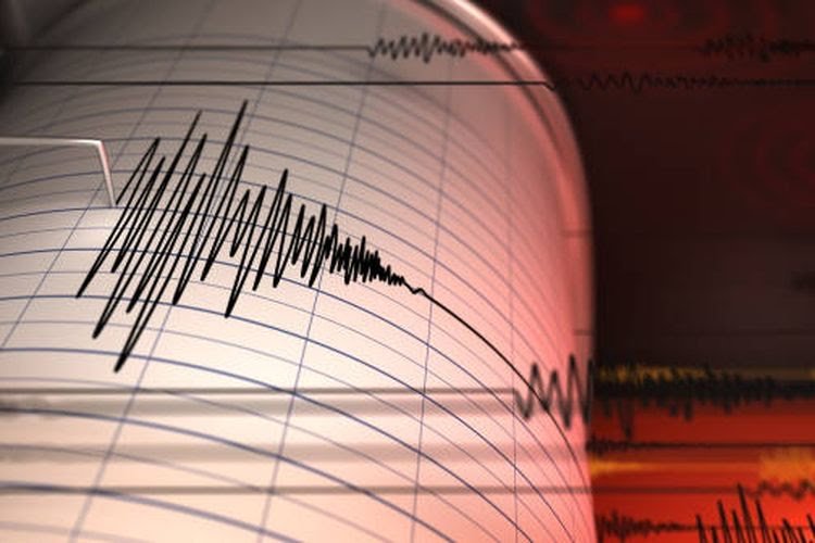 Breaking News, Gempa Bumi Magnitudo 4,8 Guncang Pasaman Barat