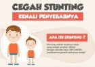 Pemprov Siapkan 1,2 T Untuk Penanganan stunting Di Provinsi Riau