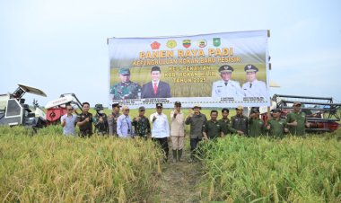 Berhasil Oplah Rawa 600 Ha Binaan Kodim 0321, Kabupaten Rohil Siap Jadi Lumbung Pangan Provinsi Riau