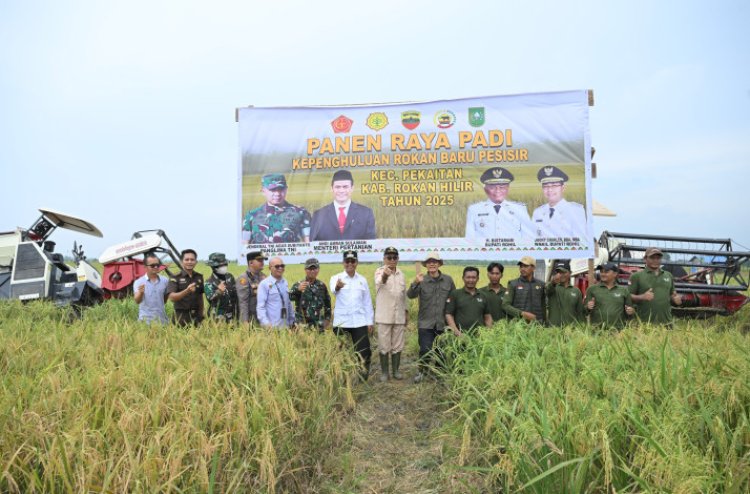 Berhasil Oplah Rawa 600 Ha Binaan Kodim 0321, Kabupaten Rohil Siap Jadi Lumbung Pangan Provinsi Riau