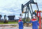 Ajukan Rekomendasi Teknis Gubernur Riau, PHR Perkuat Komitmen Tata Kelola Lingkungan Dan Energi Berkelanjutan