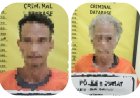 Bongkar Pembalakan Liar Hutan Lindung Senepis, Polres Dumai Sita  2,5 Ton Kayu