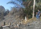 Diduga Bakar 2 Hektar Lahan Hutan Lindung Bukit Betabuh, Polres Kuansing Amankan 3 Orang Pelaku