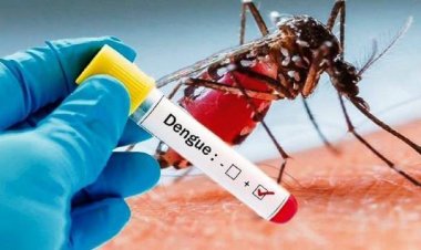 Terdapat 1.471 Kasus DBD Dari Januari-April 2025, Dinas Kesehatan Minta Masyarakat Riau Gencarkan Gerakan 3M Plus