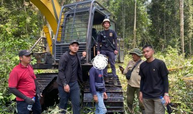 Bongkar Praktik Ilegal Jual Beli Lahan di Hutan Lindung, Polres Bengkalis Tangkap Satu Orang Tersangka