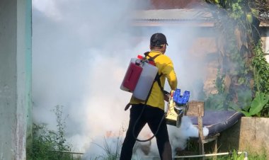 Melawan DBD Di Tengah Keterbatasan Alat Fogging, 6 Warga Inhil Dinyatakan Meninggal Dunia