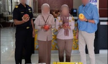 Bea Cukai Tembilahan Gagalkan Penyelundupan 15 Ton Mangga Ilegal Di Keritang