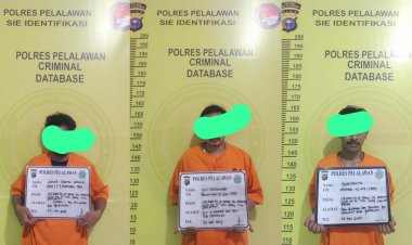 Bongkar Jaringan Narkoba Lokal, Polres Pelalawan Amankan Tiga Pengedar Sabu Di Pondok Desa Angkasa