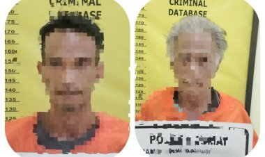 Bongkar Pembalakan Liar Hutan Lindung Senepis, Polres Dumai Sita  2,5 Ton Kayu