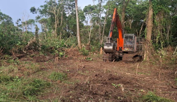 Dugaan Aktivitas Ilegal, Polsek Mandau Selidiki Penyerobotan Lahan Di Area Operasional PT. PHR