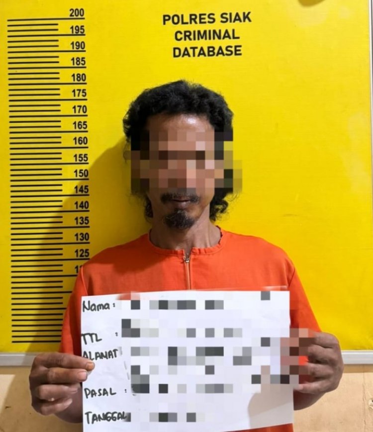 Tangkap Tersangka Pencurian Sapi, Polres Siak Ringkus Pelaku Bersama Mobil Modifikasi