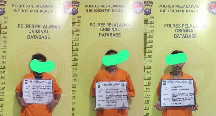 Bongkar Jaringan Narkoba Lokal, Polres Pelalawan Amankan Tiga Pengedar Sabu Di Pondok Desa Angkasa