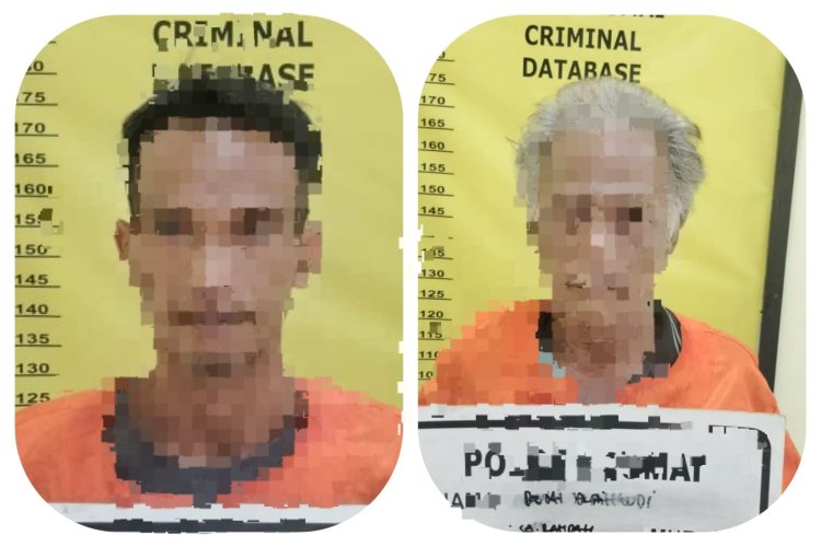 Bongkar Pembalakan Liar Hutan Lindung Senepis, Polres Dumai Sita 2,5 Ton Kayu