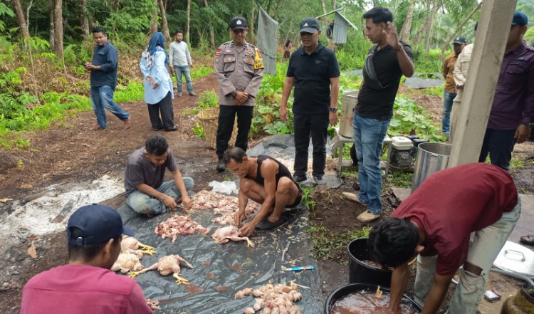 Bangkitkan Ekonomi Desa, Usaha Ayam Potong BUMDesa Bengkalis Raup Omset Rp50 Juta Di Panen Pertama
