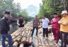 Blusukan Lingkungan Pertama, Bupati Siak Temukan Ratusan Kubik Kayu Mahang Tanpa Dokumen Di Tepian Sungai Apit