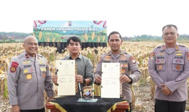 Wujud Nyata Dukung Ketahanan Pangan Nasional, Polda Riau Gelar Panen Raya 82 Ton Jagung