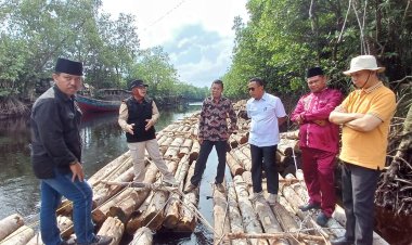Blusukan Lingkungan Pertama, Bupati Siak Temukan Ratusan Kubik Kayu Mahang Tanpa Dokumen Di Tepian Sungai Apit