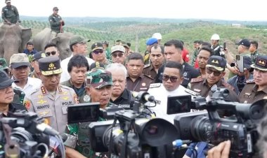 Satgas PKH Temukan Masalah Serius Di Tesso Nilo, Kejagung Telusuri SHM Di Tengah Kawasan Konservasi