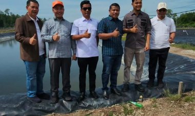 Potensi PAD Capai Rp2 Miliar, Komisi II DPRD Dorong Pemprov Riau Serius Kelola Tambak Udang Di Rupat