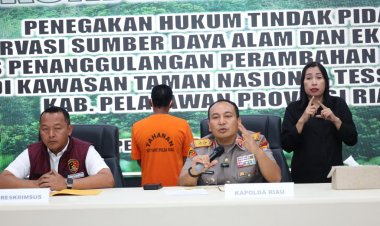 Selamatkan Hutan Konservasi Tesso Nilo, Polda Riau Tangkap Tokoh Adat Pelaku Jual-Beli Lahan Ilegal
