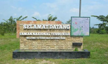 Selidiki Dugaan Pungli Dan SKT Ilegal Di Kawasan TNTN, Kejari Pelalawan Periksa 46 Saksi Termasuk 3 Kades