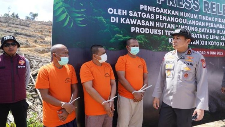 Bongkar Perambahan Hutan Lindung Si Abu Kampar, Polda Riau Ringkus Empat Tersangka