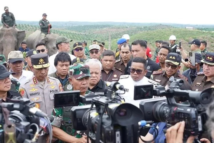 Satgas PKH Temukan Masalah Serius Di Tesso Nilo, Kejagung Telusuri SHM Di Tengah Kawasan Konservasi
