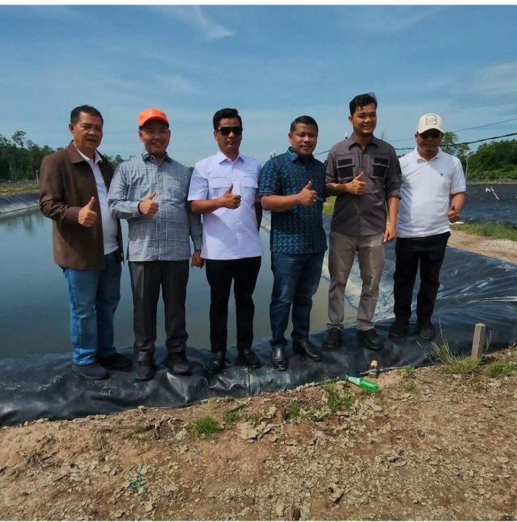 Potensi PAD Capai Rp2 Miliar, Komisi II DPRD Dorong Pemprov Riau Serius Kelola Tambak Udang Di Rupat