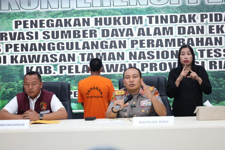 Selamatkan Hutan Konservasi Tesso Nilo, Polda Riau Tangkap Tokoh Adat Pelaku Jual-Beli Lahan Ilegal