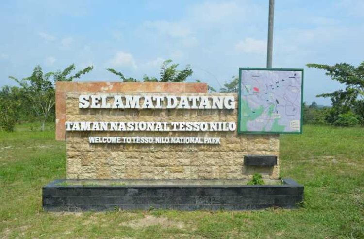 Selidiki Dugaan Pungli Dan SKT Ilegal Di Kawasan TNTN, Kejari Pelalawan Periksa 46 Saksi Termasuk 3 Kades