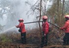 Berjibaku Padamkan Api Di Lahan 4 Hektare, BPBD Siak Turunkan Tim Gabungan Ke Kampung Mengkapan