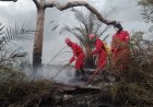 39 Titik Panas Terdeteksi Di Provinsi Riau, BMKG Himbau Masyarakat Waspada Cuaca Ekstrem Jelang Akhir Pekan