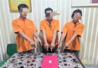 Simpan Sabu Di Dashboard Motor, Polsek Tambang Tangkap 3 Pelaku Narkoba Di Rimbo Panjang
