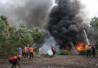 Karhutla Di Provinsi Riau Terus Meluas, 4 Hektare Lahan Gambut Di Bengkalis Ikut Terbakar