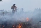 Perkuat Satgas Darat Karhutla Di Riau, BNPB Gelontorkan Intensif Personel Rp165.000/hari