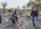 Bakar 10 Hektare Lahan Sawit Di Kawasan Hutan Produksi, Polres Bengkalis Amankan 1 Orang Pelaku