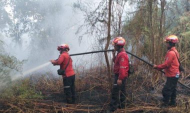 Berjibaku Padamkan Api Di Lahan 4 Hektare, BPBD Siak Turunkan Tim Gabungan Ke Kampung Mengkapan