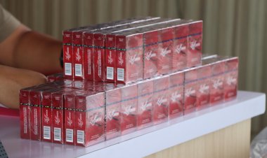 Rohil Diduga Jadi Jalur Masuk Rokok Ilegal, LSM TOPAN RI Desak Penegakan Hukum Hingga Tuntas