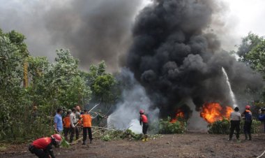 Karhutla Di Provinsi Riau Terus Meluas, 4 Hektare Lahan Gambut Di Bengkalis Ikut Terbakar