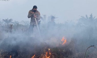 Perkuat Satgas Darat Karhutla Di Riau, BNPB Gelontorkan Intensif Personel Rp165.000/hari