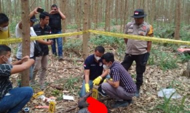 Bikin Heboh Warga Pangkalan Gondai, Mayat Seorang Laki-Laki Ditemukan Membusuk Di Kawasan Kebun Akasia